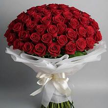 Букет 101 Красная роза Блэк Мэджик в Новом Чиркее
