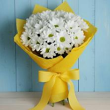 Букет цветов из:  Хризантемы в Новом Чиркее