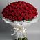 Букет 101 Красная роза Блэк Мэджик в Новом Чиркее