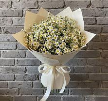 Букет цветов из:  Ромашки в Новом Чиркее