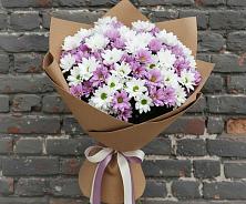 Букет цветов из:  Хризантемы в Новом Чиркее