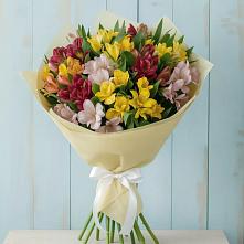Букет цветов из:  Альстромерии в Новом Чиркее
