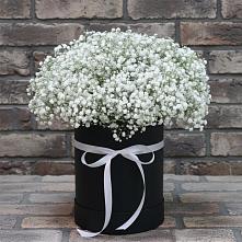 Цветочная композиция из Гипсофила в шляпной коробке #REPLACE_PRED# Новом Чиркее
