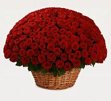 Премиум букет из: Розы в Новом Чиркее