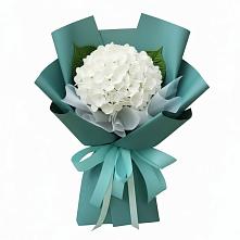 Букет цветов из:  Гортензия #REPLACE_PRED# Новом Чиркее